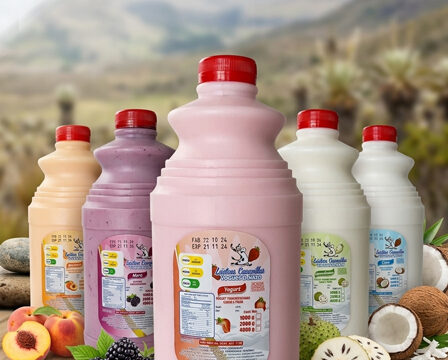 yogurt_sin_fruta_2litro