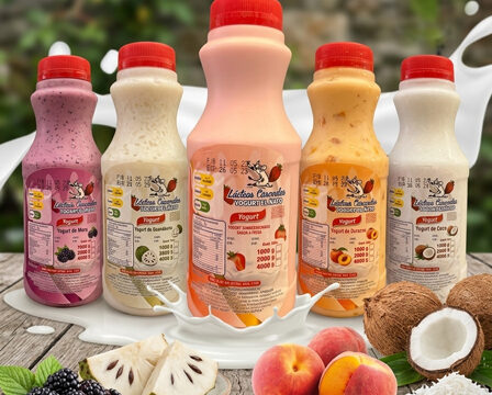 yogurt_sin_fruta_litro