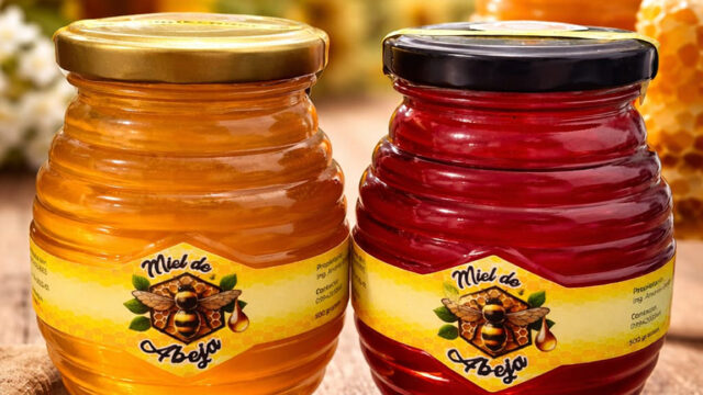 miel_de_abeja_andrea_muñoz_1