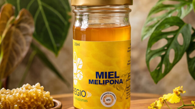 miel_melipona_f