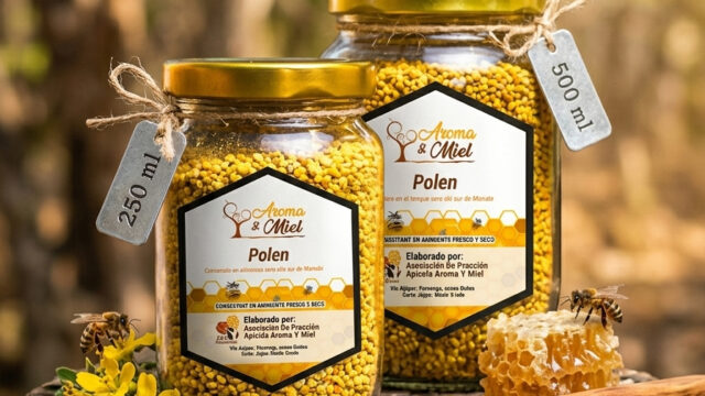 polen_asoapimiel